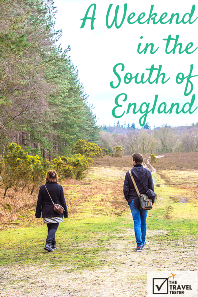 A Weekend Road Trip to South England: Exploring the Iconic Jurassic Coast and New Forest Region | The Travel Tester