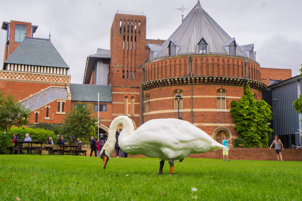 One Day in Stratford-Upon-Avon in England? Complete Guide to a Perfect City Break!