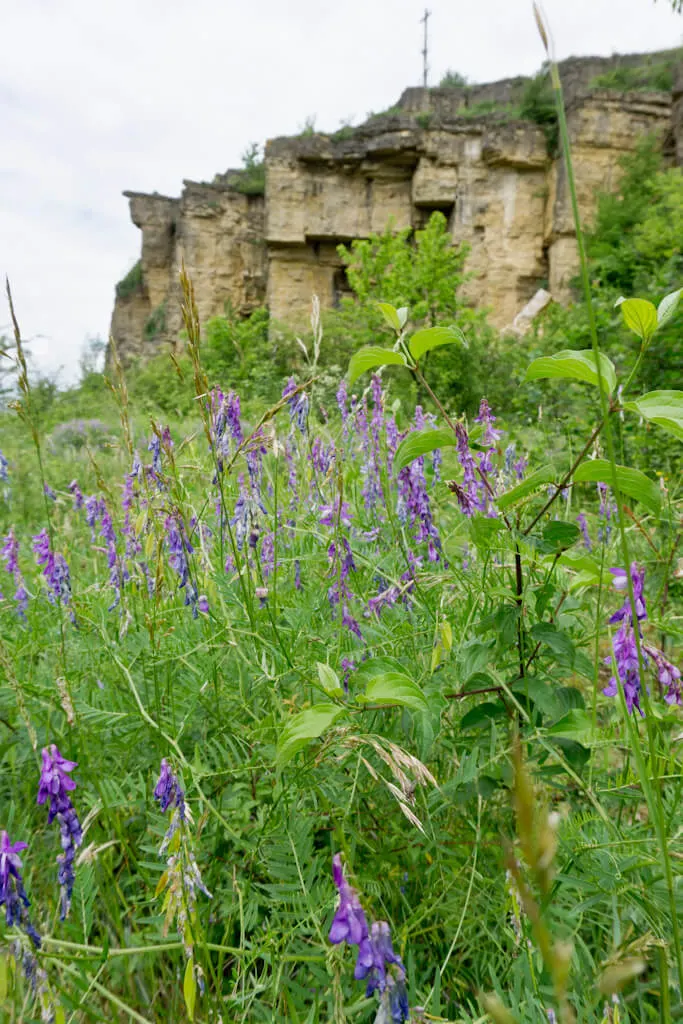 The Best Places for Hiking in Luxembourg || The Travel Tester